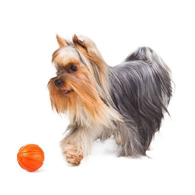 Liker М'ячик для собак, діаметр 5 см