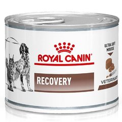 Вологий корм для котів та собак в реабілітаційний період Royal Canin Recovery 195 г (домашня птиця)