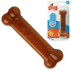 Nylabone Puppy Chew Bone кістка жувальна іграшка для цуценят, смак курки M