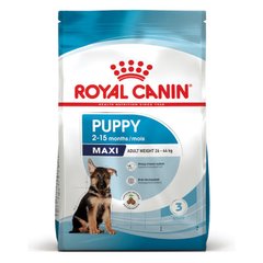 Royal Canin Maxi Puppy - сухий корм для собак великих розмірів, вагою дорослої тварини від 26 до 44 кг та віком від 2 до 15 місяців