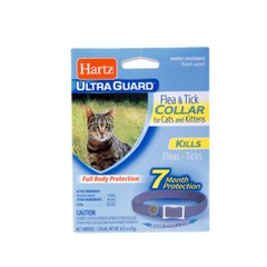Hartz Ultra Guard - нашийник Хартц для кішок від бліх і кліщів із застібкою